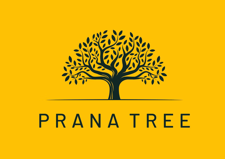 VP OF Business development 